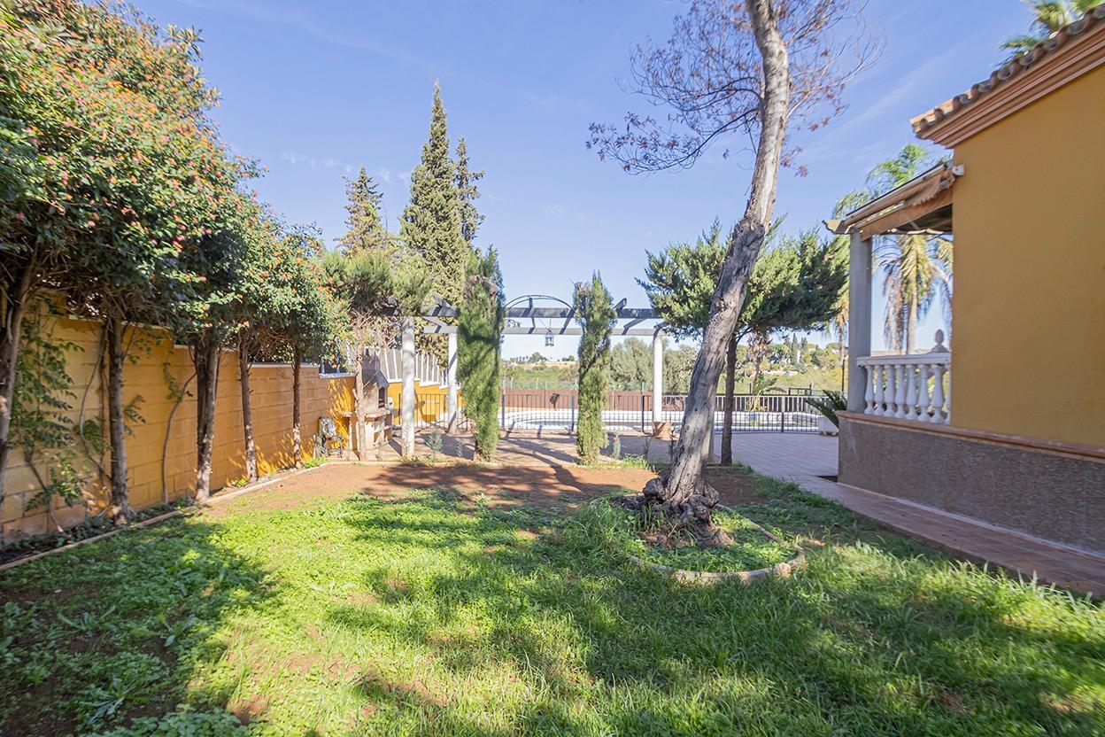 Casas o chalets-Venta-Mairena del Alcor-1942397-Foto-82