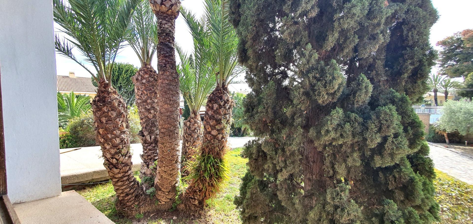 Casas o chalets-Venta-Sant Joan d