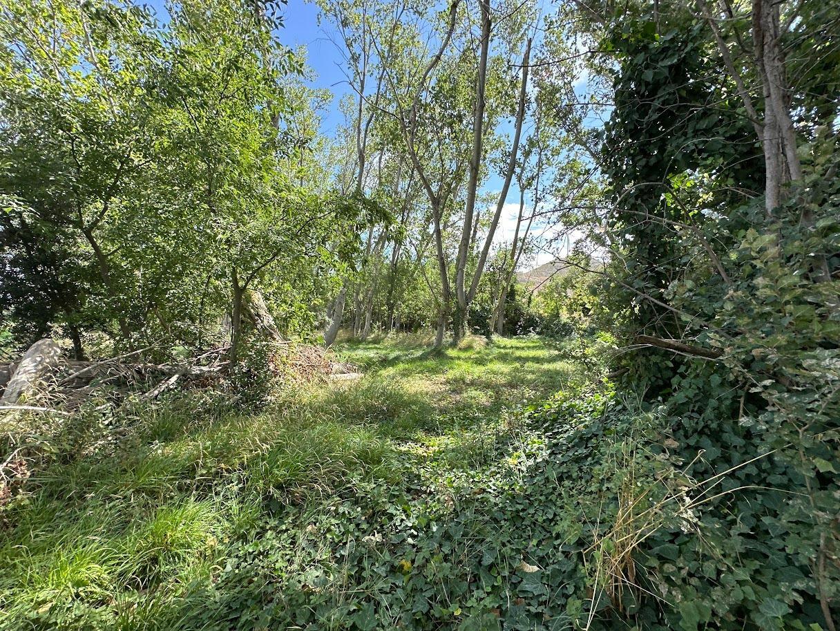 Pisos-Venta-Zaragoza-1865104-Foto-13