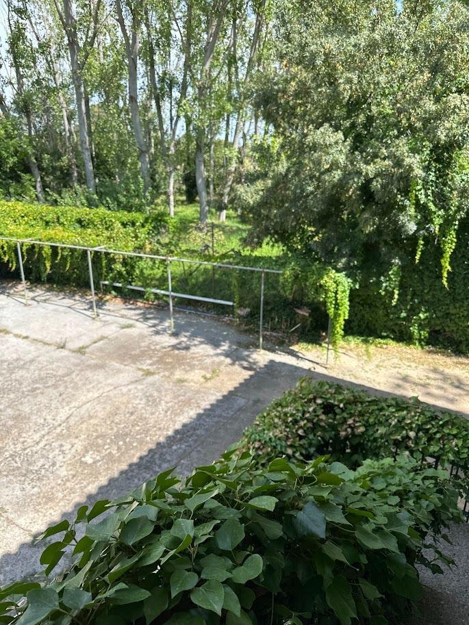 Pisos-Venta-Zaragoza-1865104-Foto-54