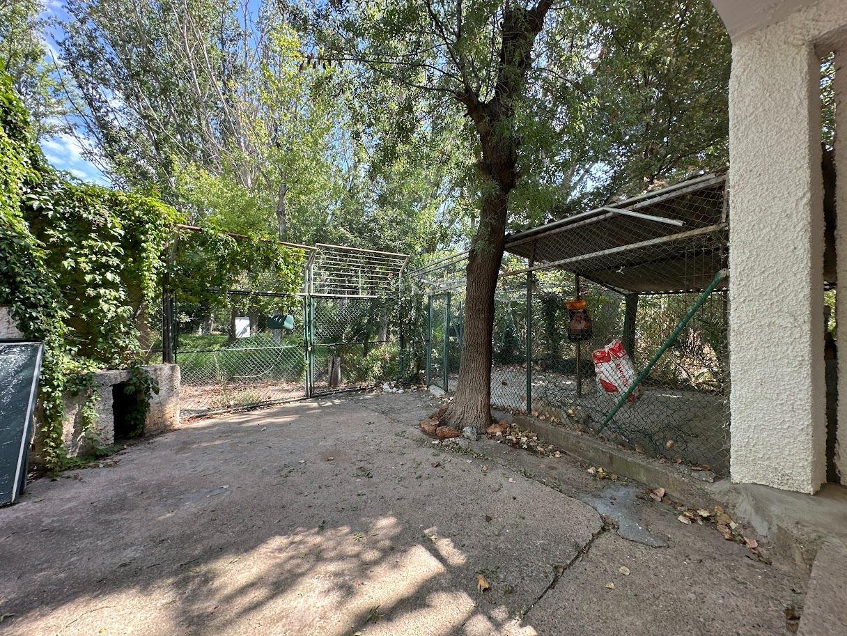 Pisos-Venta-Zaragoza-1865104-Foto-58