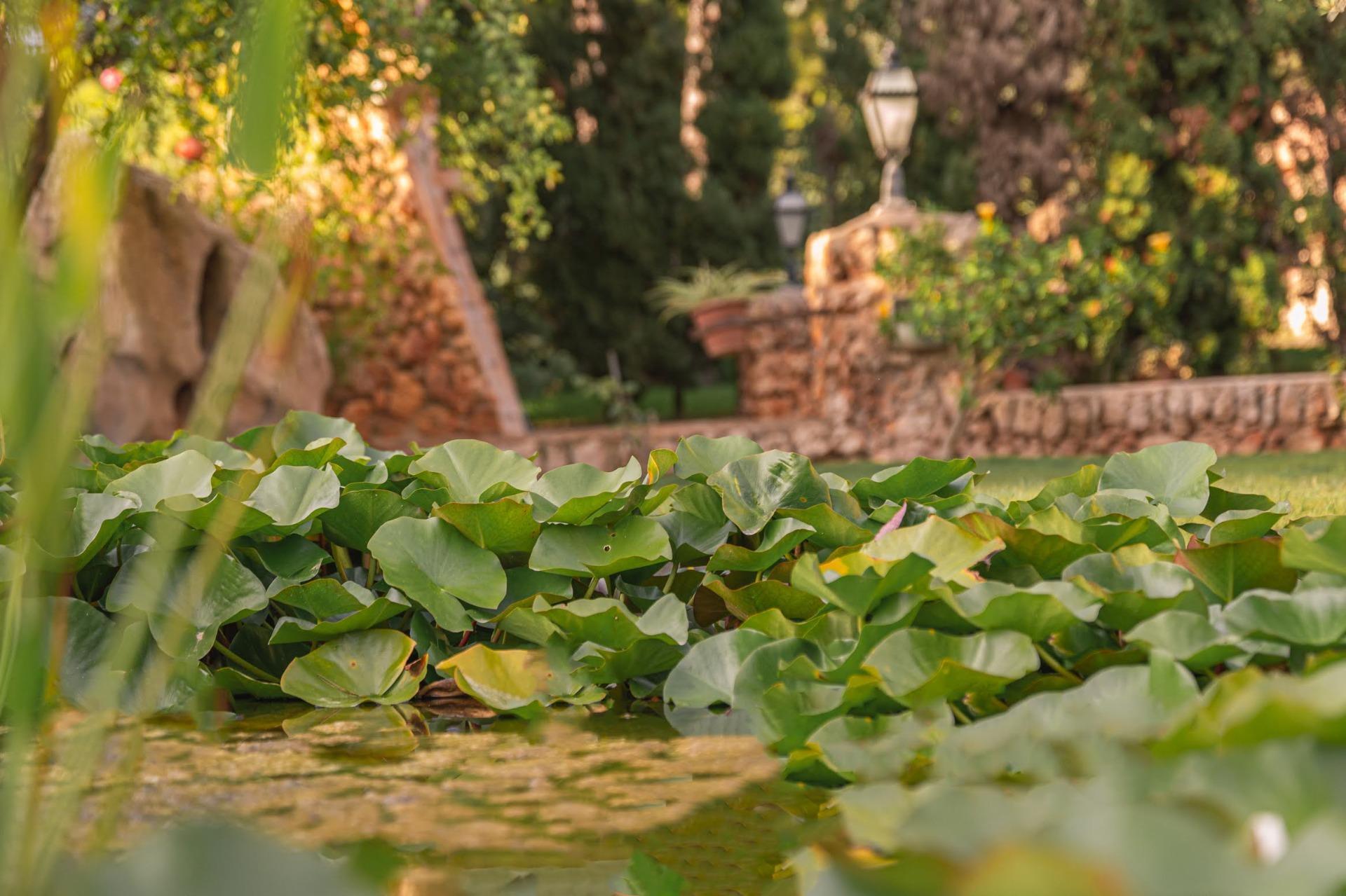 Casas o chalets-Venta-Capdepera-1900505-Foto-14