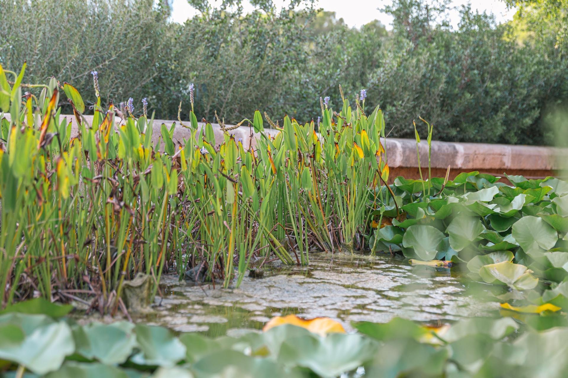 Casas o chalets-Venta-Capdepera-1900505-Foto-15