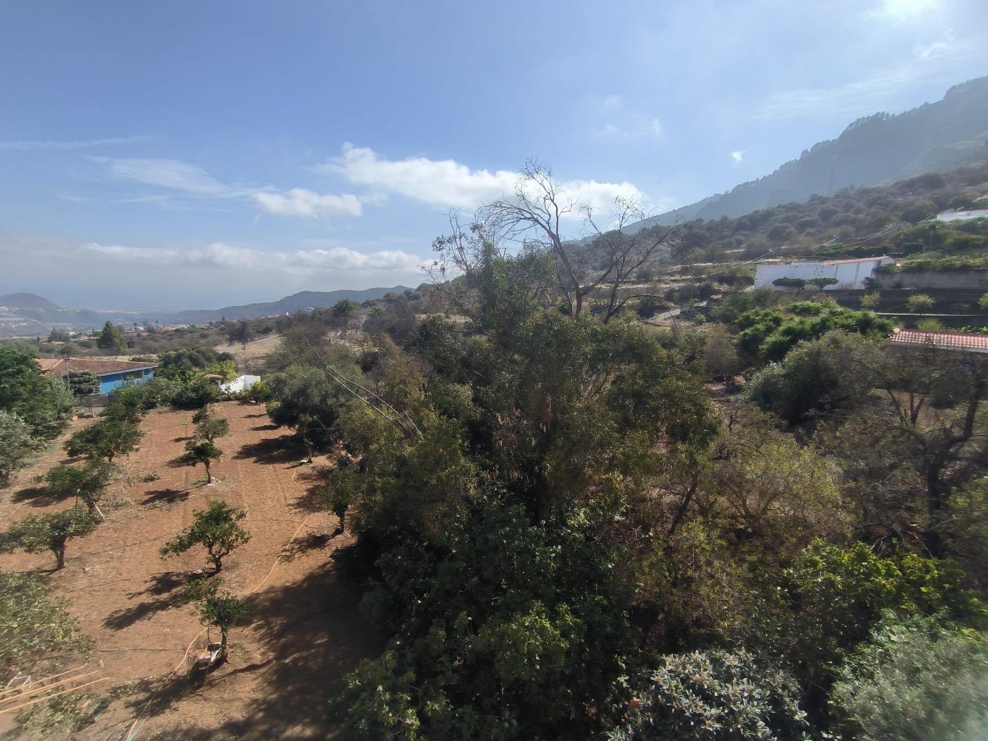 Pisos-Alquiler-Valsequillo de Gran Canaria-1942415-Foto-2