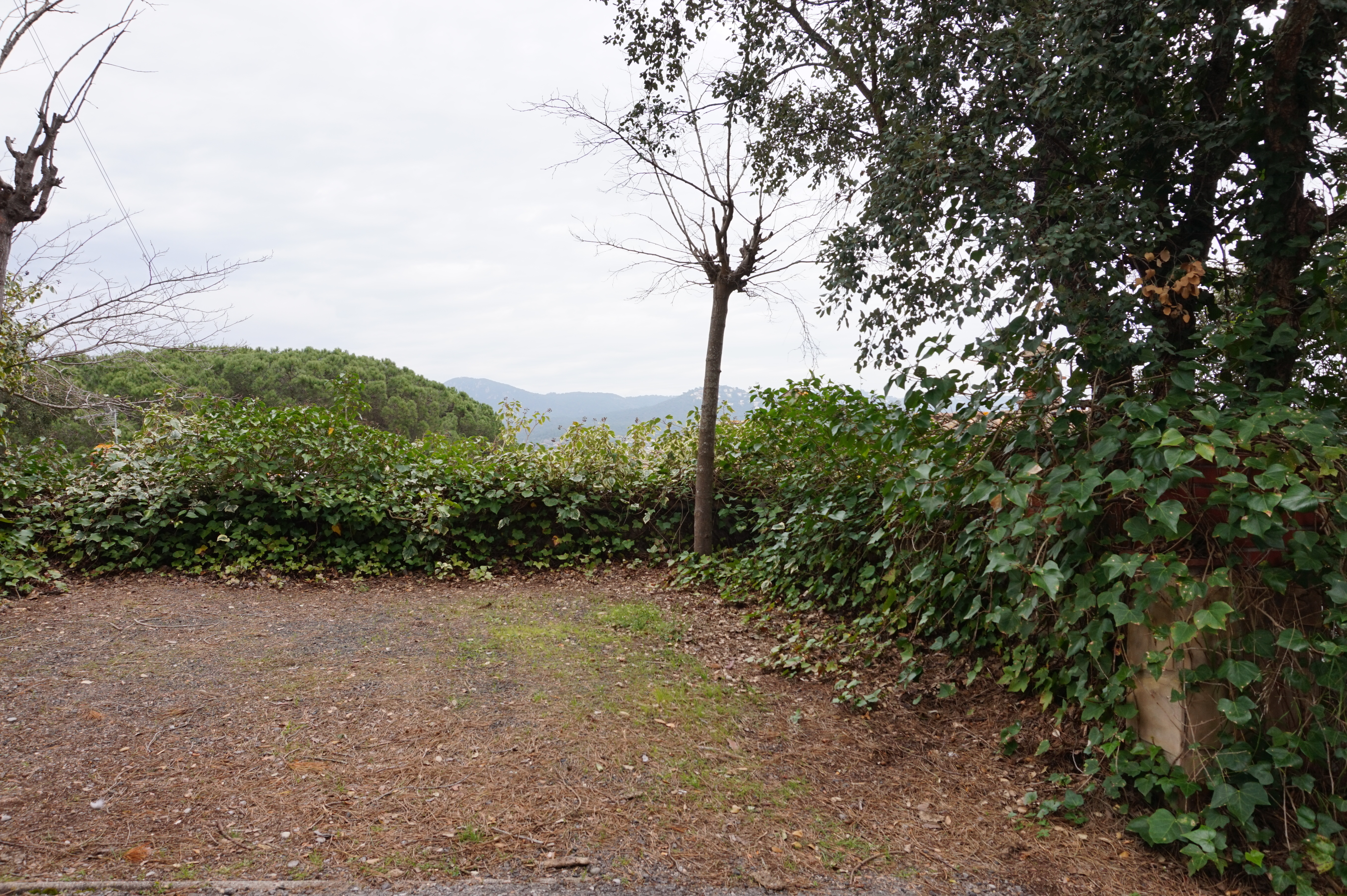 Casas o chalets-Venta-Santa Cristina d