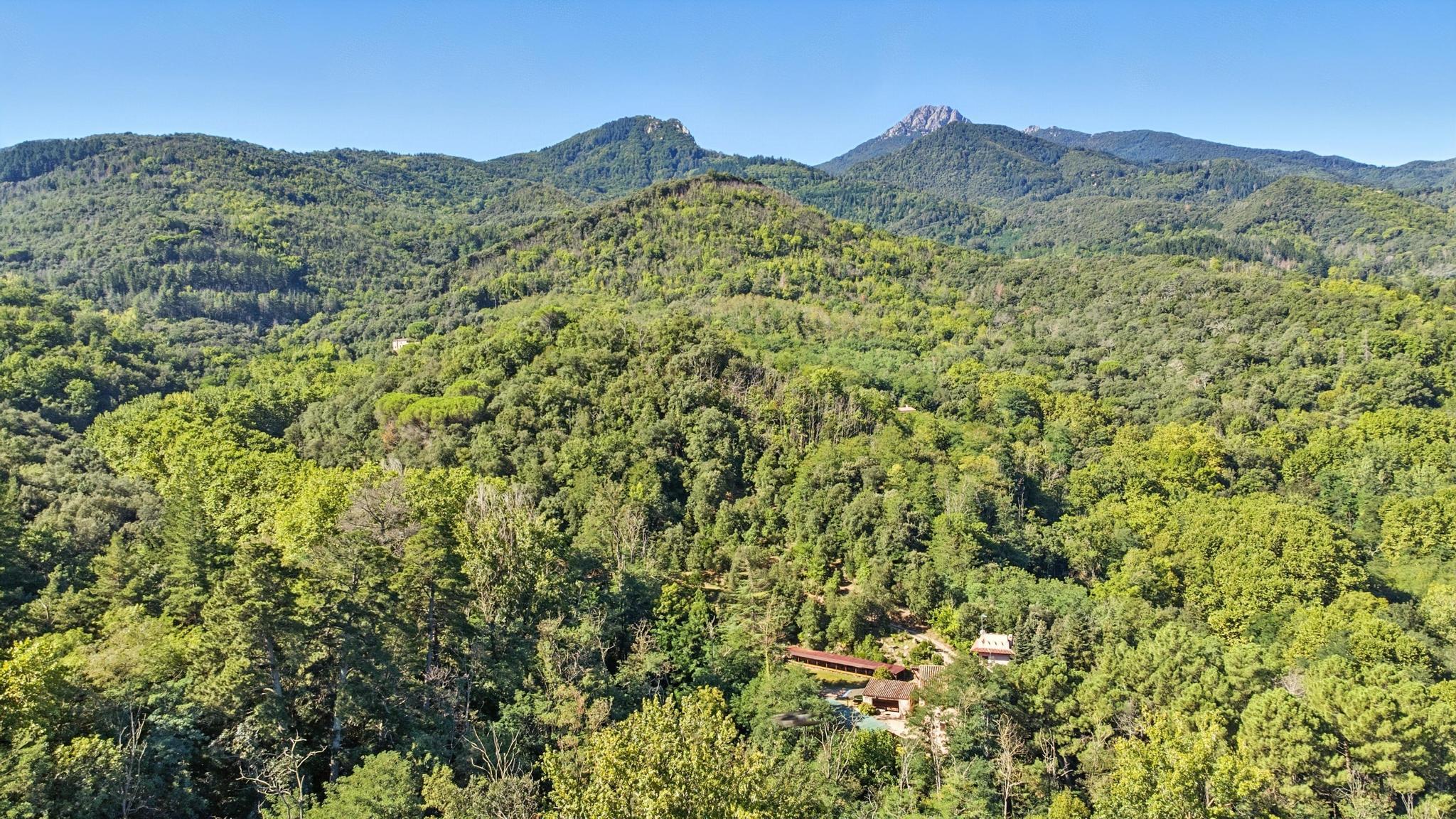 Casas o chalets-Venta-Arbúcies-1941531-Foto-3