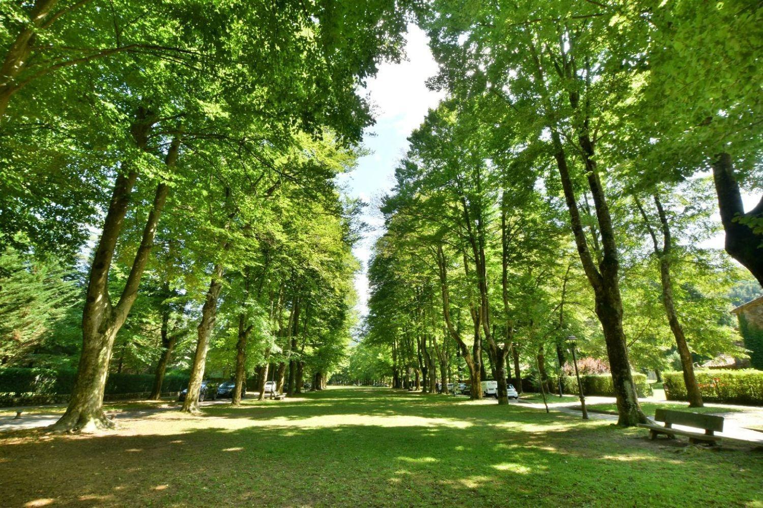 Pisos-Venta-Camprodon-1942834-Foto-10