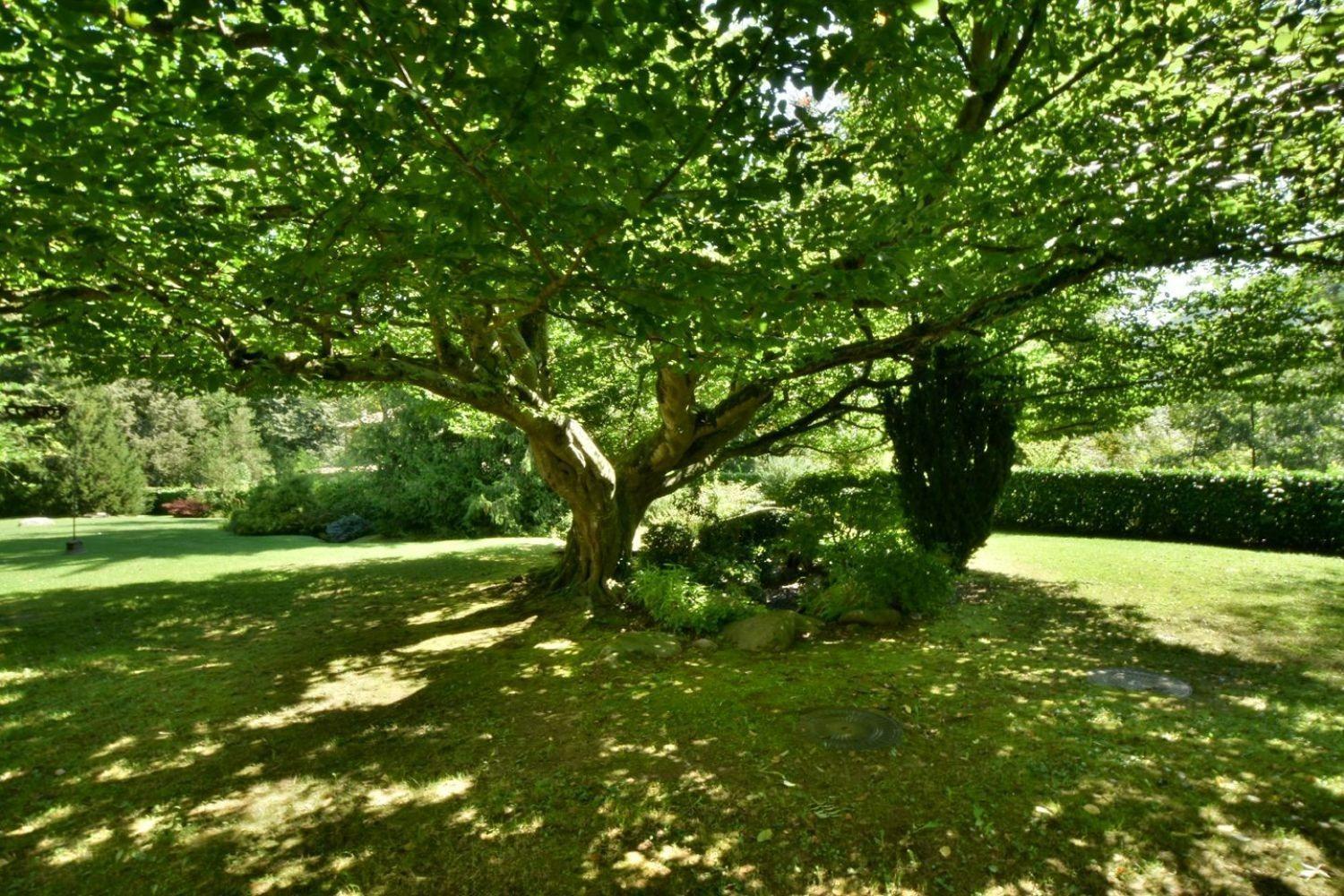 Pisos-Venta-Camprodon-1942834-Foto-19