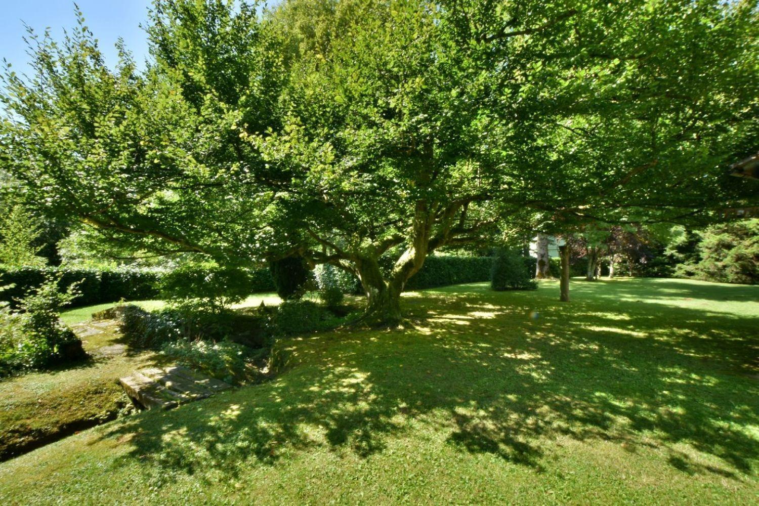 Pisos-Venta-Camprodon-1942834-Foto-17