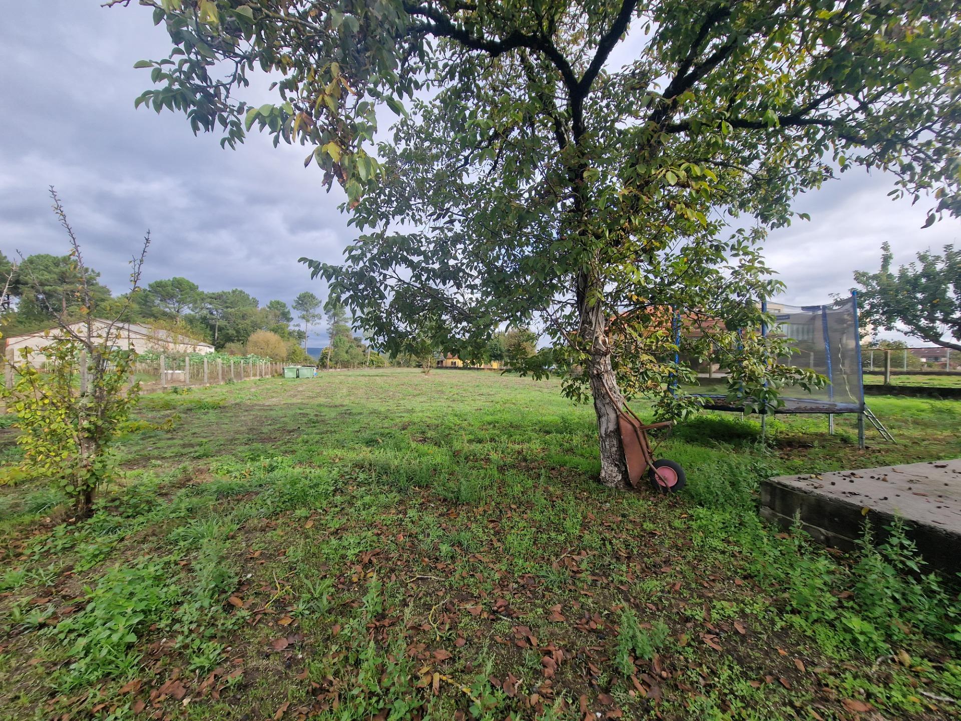 Amoeiro, Ourense