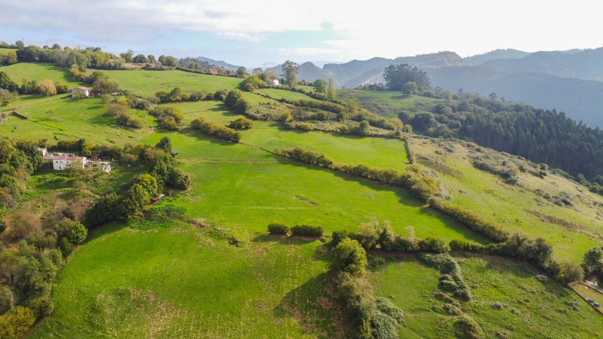 Casas o chalets-Venta-Oviedo-1904825-Foto-49