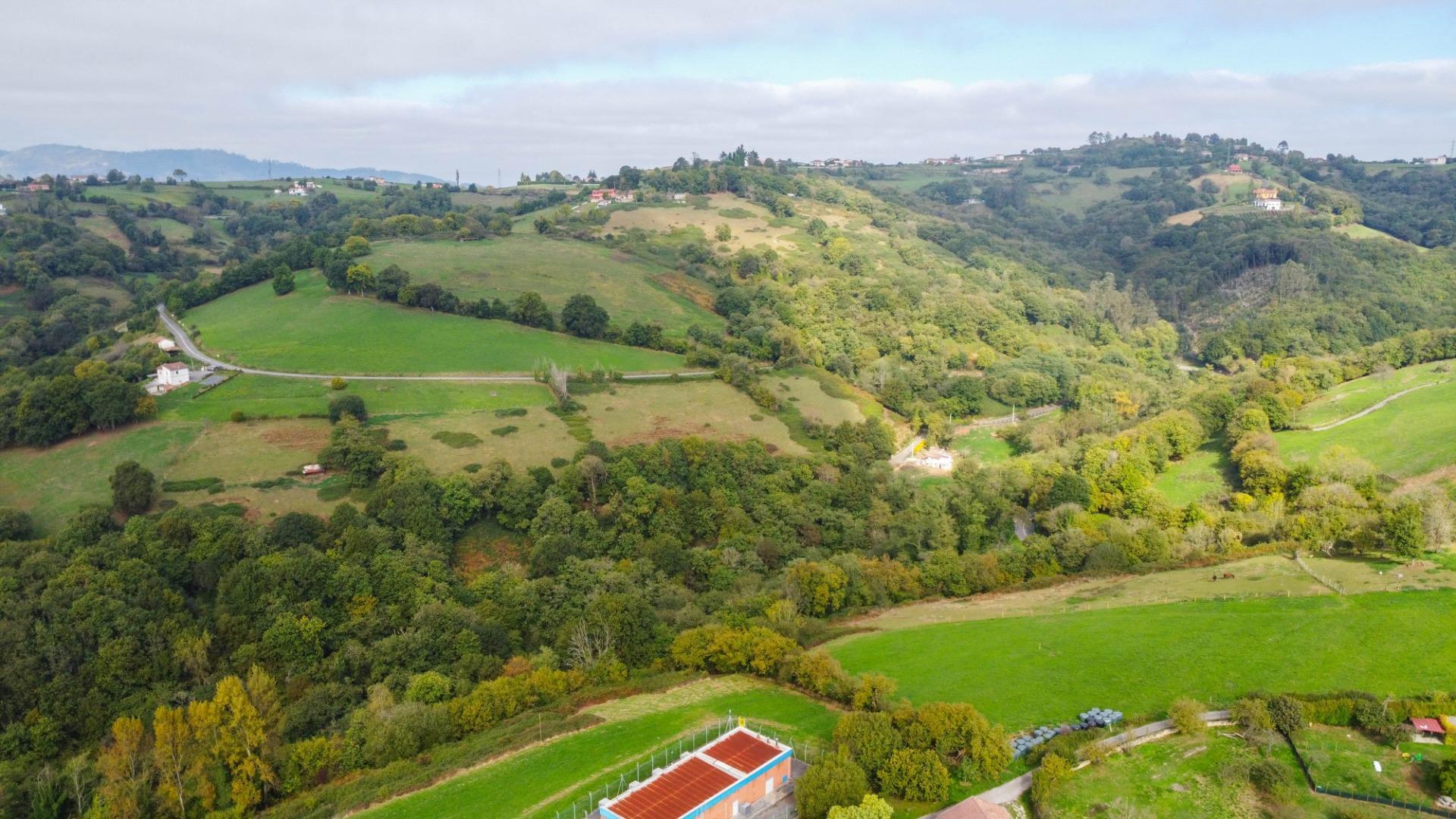 Casas o chalets-Venta-Oviedo-1904825-Foto-52