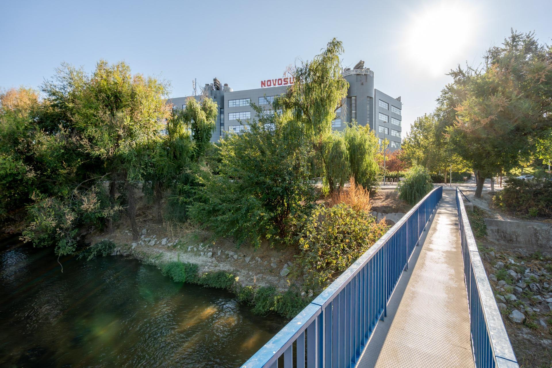 Naves-Venta-Madrid-1875941-Foto-3