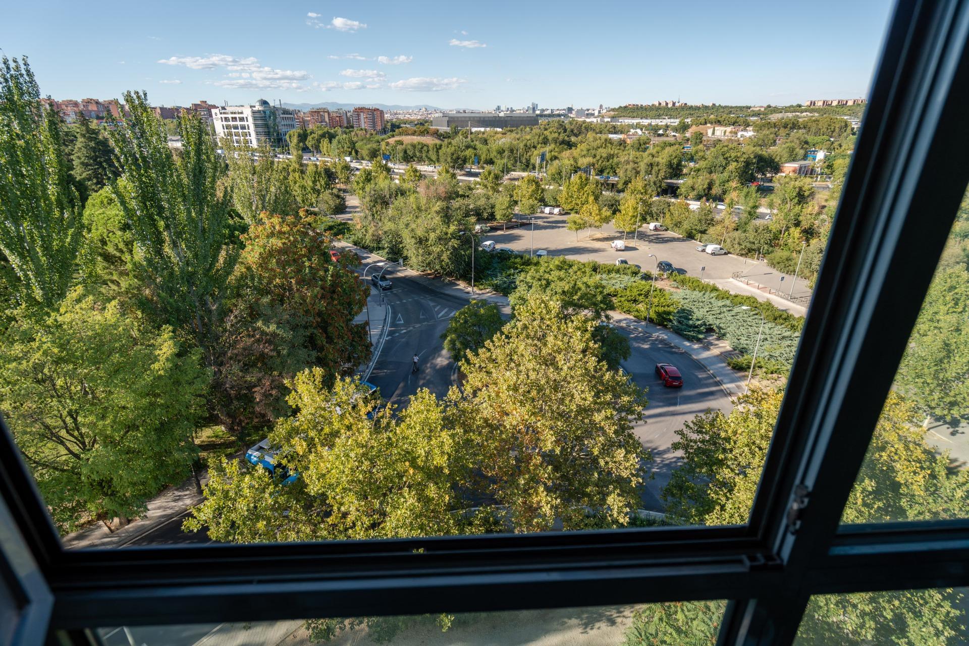 Naves-Venta-Madrid-1875941-Foto-37