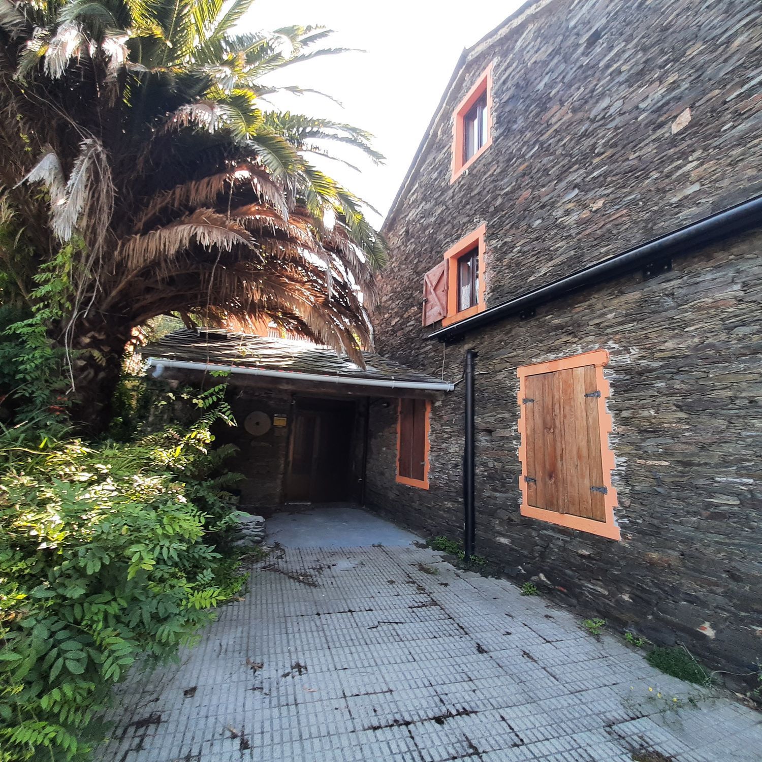 Casas o chalets-Venta-MaÃ±Ã³n-1835032-Foto-5