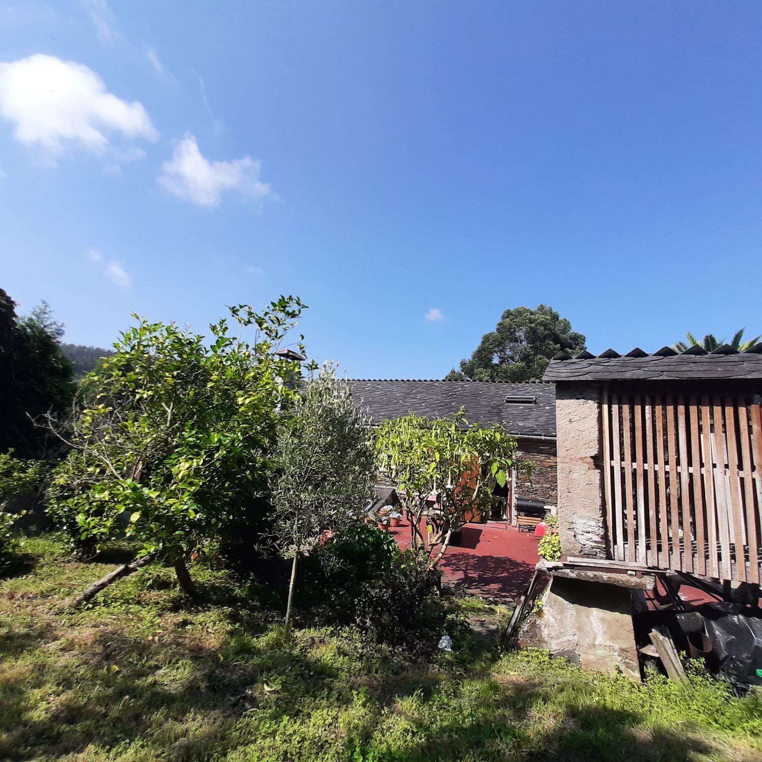 Casas o chalets-Venta-MaÃ±Ã³n-1835032-Foto-24