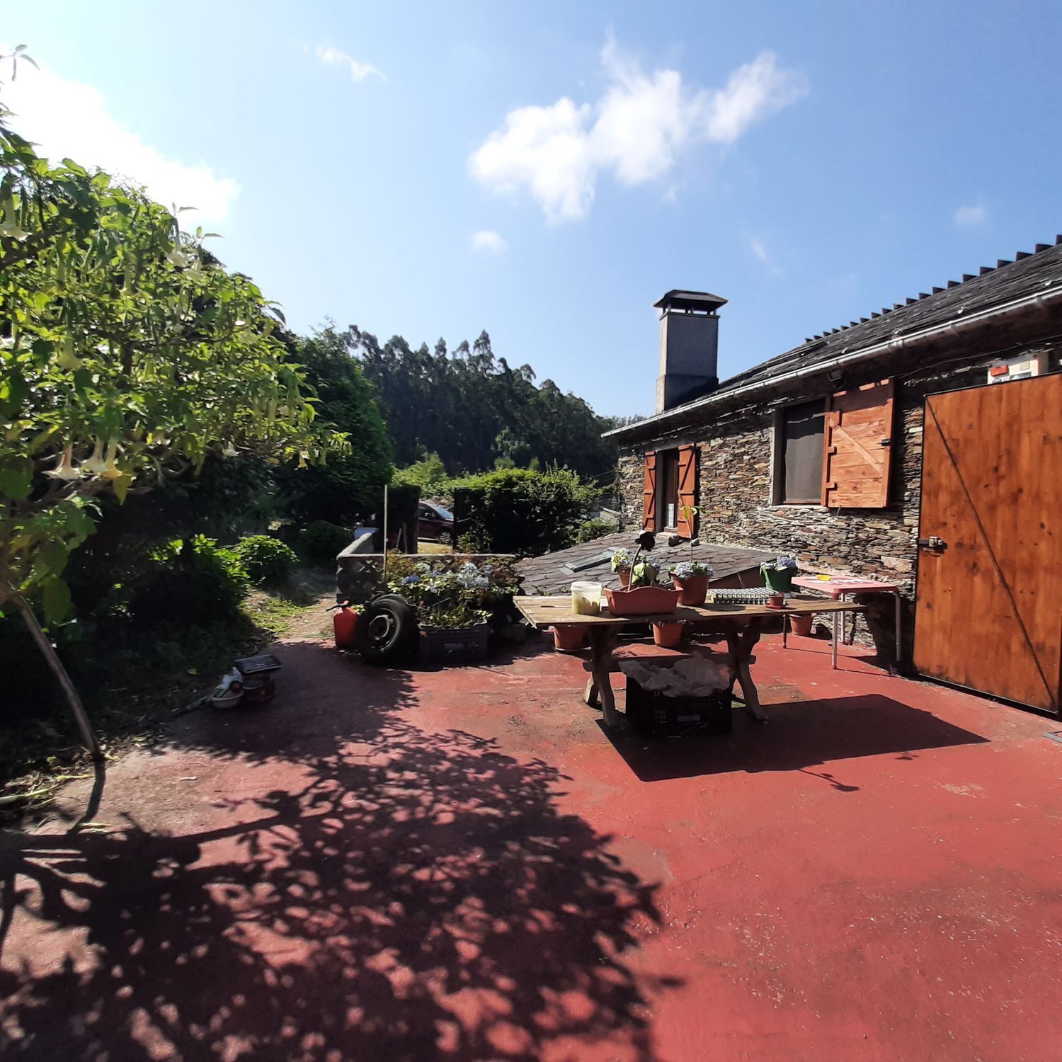 Casas o chalets-Venta-MaÃ±Ã³n-1835032-Foto-22