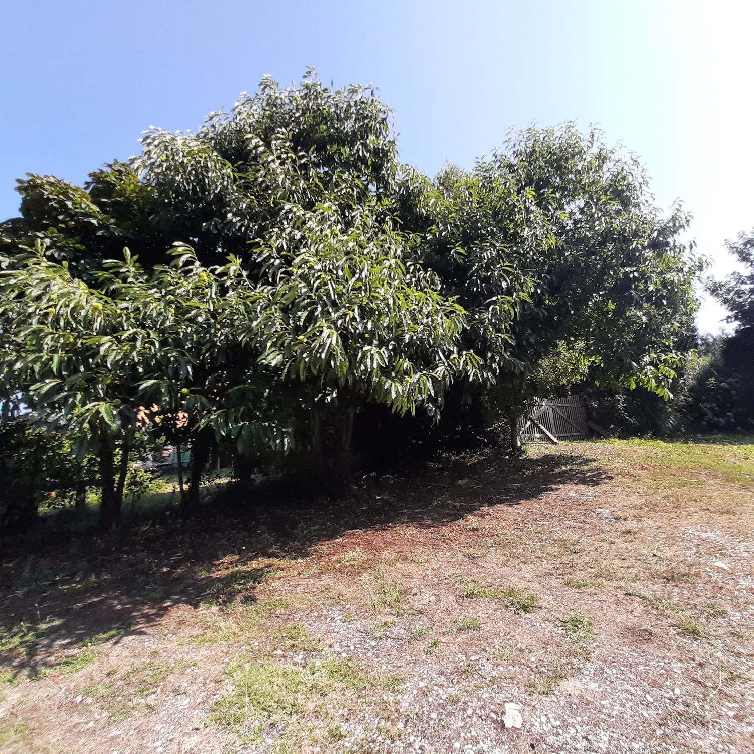 Casas o chalets-Venta-MaÃ±Ã³n-1835032-Foto-25