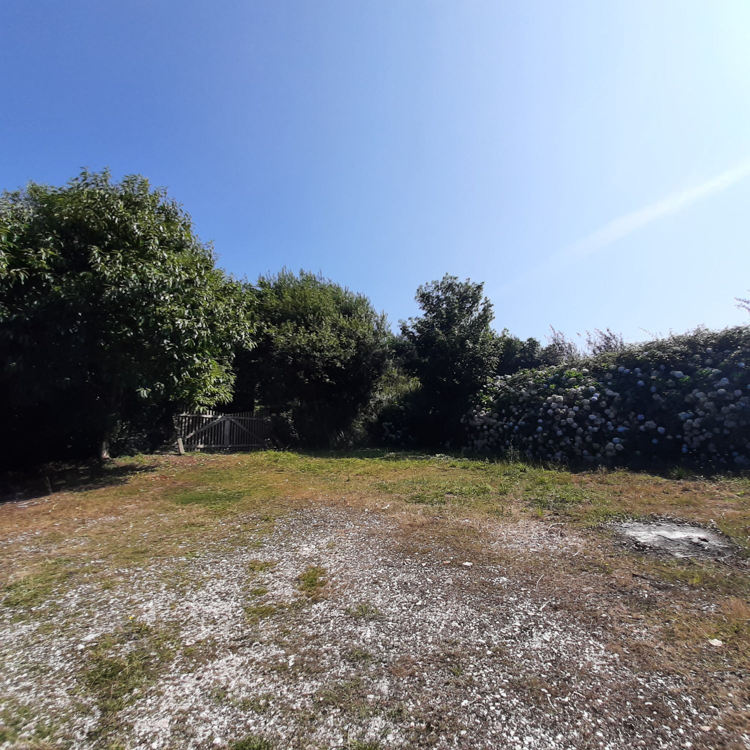 Casas o chalets-Venta-MaÃ±Ã³n-1835032-Foto-26