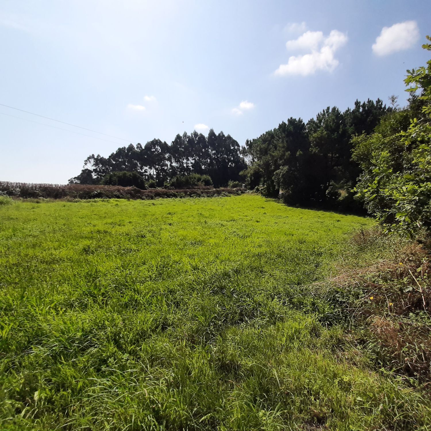 Casas o chalets-Venta-MaÃ±Ã³n-1835032-Foto-30