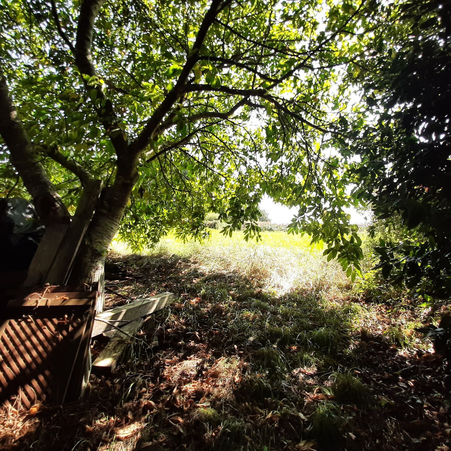 Casas o chalets-Venta-MaÃ±Ã³n-1835032-Foto-28