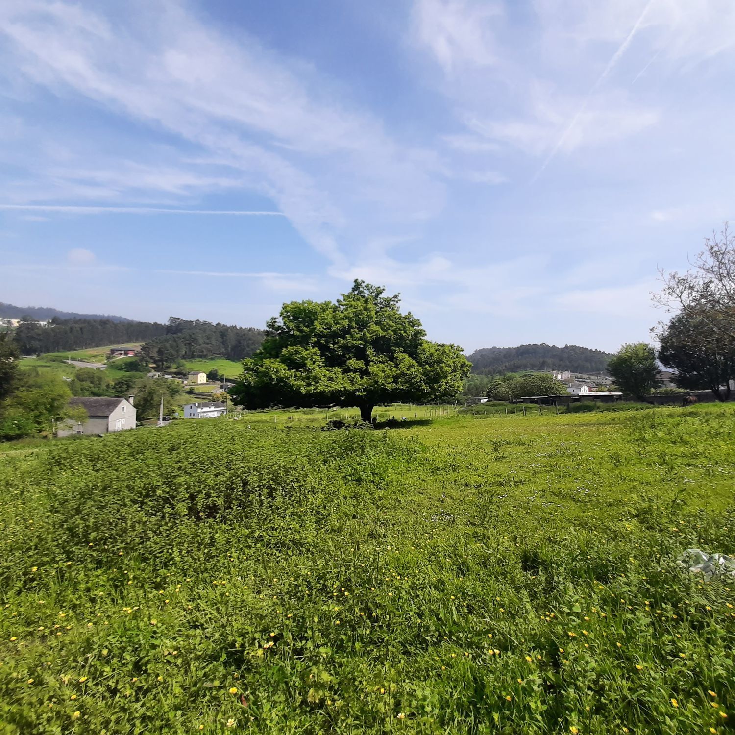 Casas o chalets-Venta-Viveiro-1830047-Foto-15
