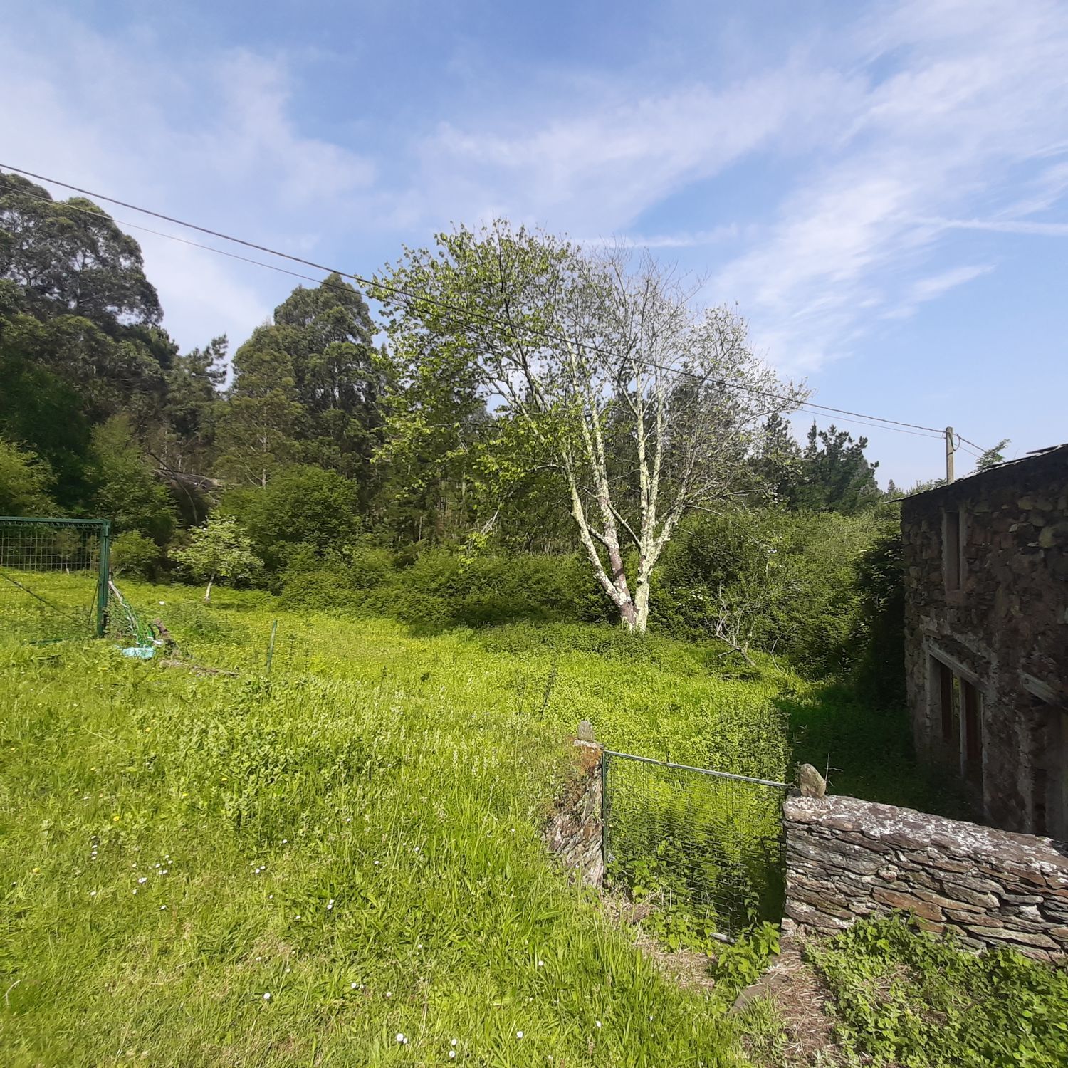 Casas o chalets-Venta-Viveiro-1830047-Foto-16