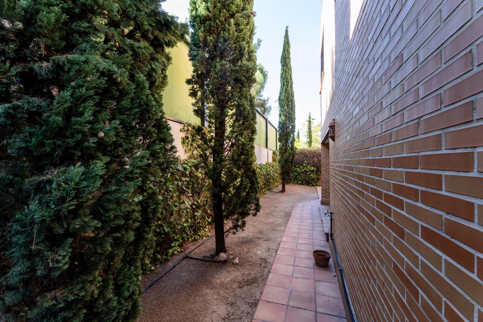 Pisos-Venta-Torrelodones-1884853-Foto-7