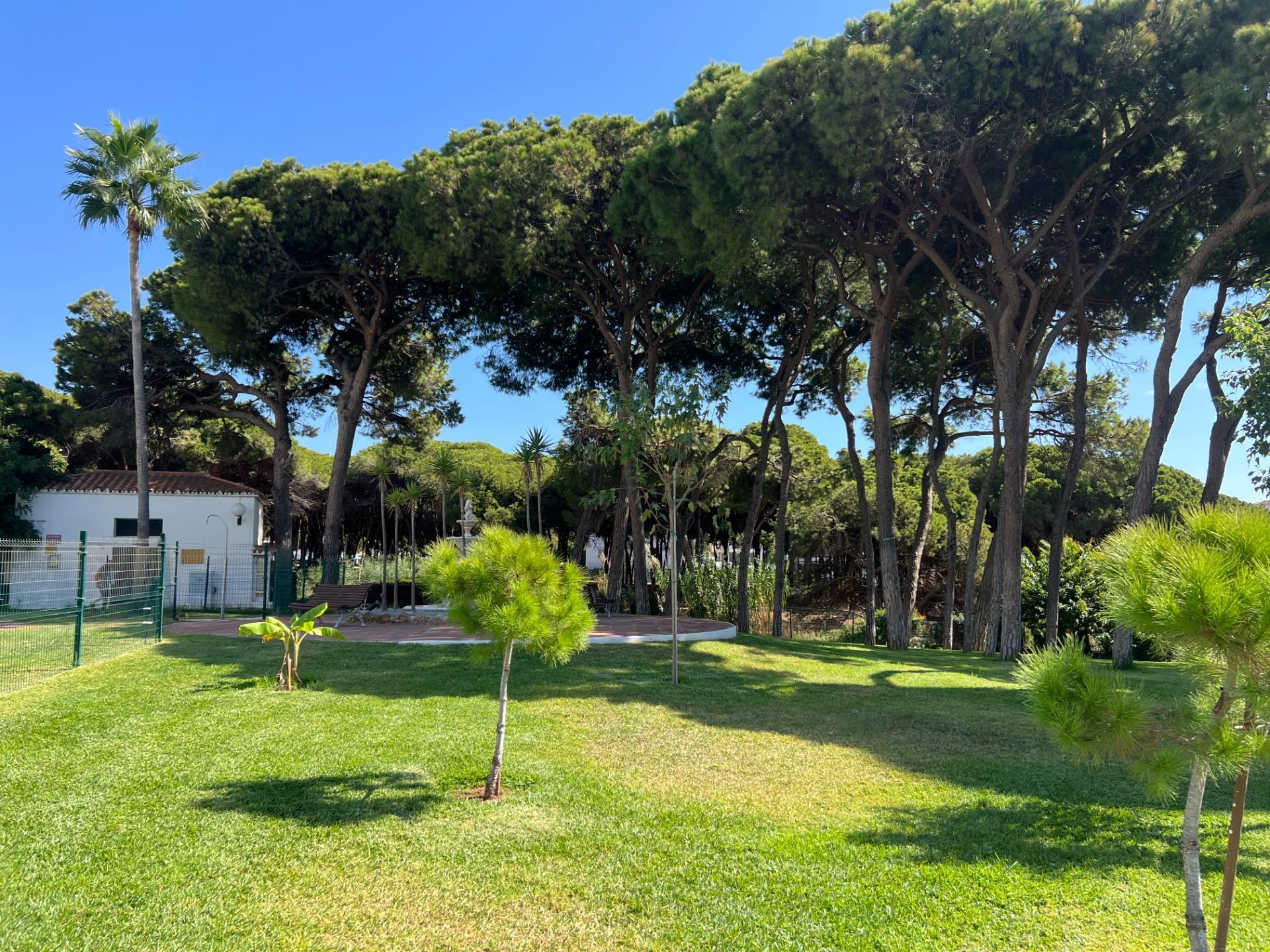 Pisos-Alquiler-Mijas-1868188-Foto-40