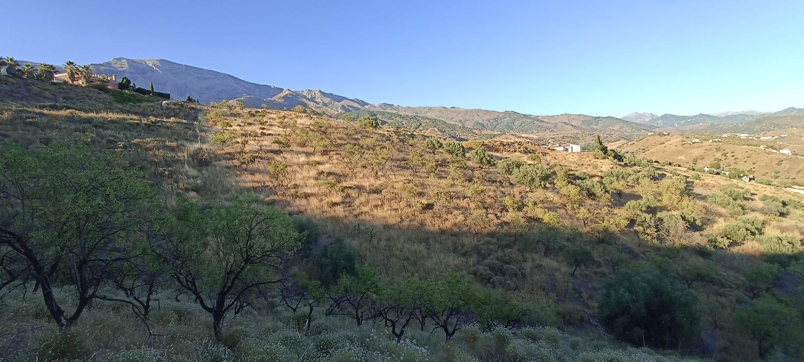 Fincas y solares-Venta-Sedella-1426947-Foto-2