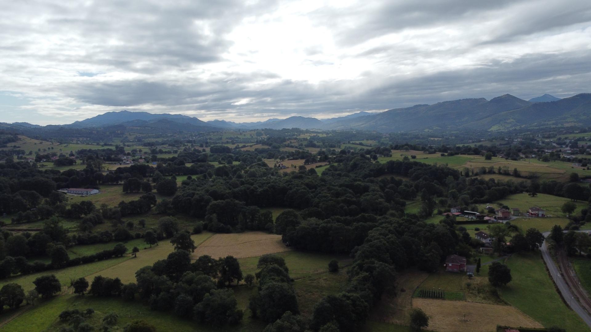 Fincas y solares-Venta-Las Navas del Marqués-1942852-Foto-8