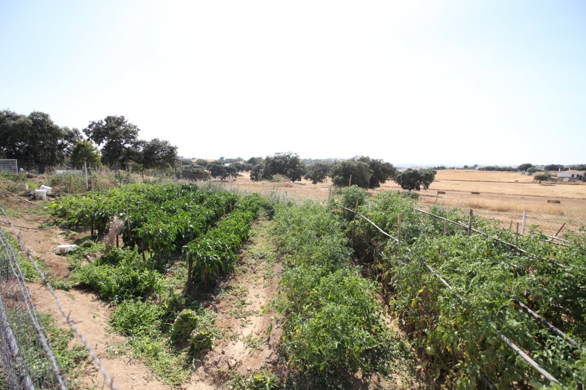 Casas o chalets-Venta-CÃ³rdoba-450268-Foto-19