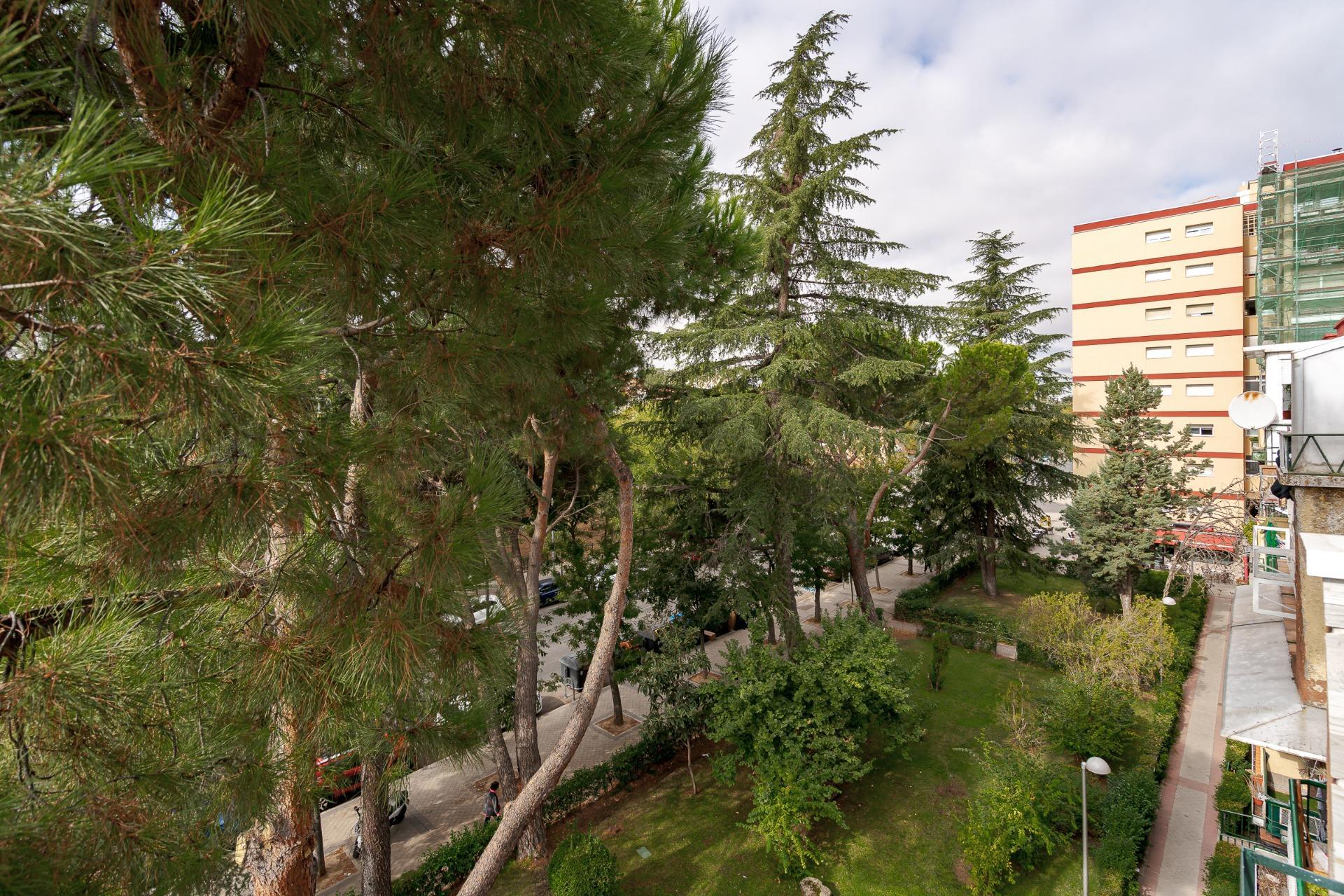 Pisos-Venta-Madrid-1942873-Foto-39