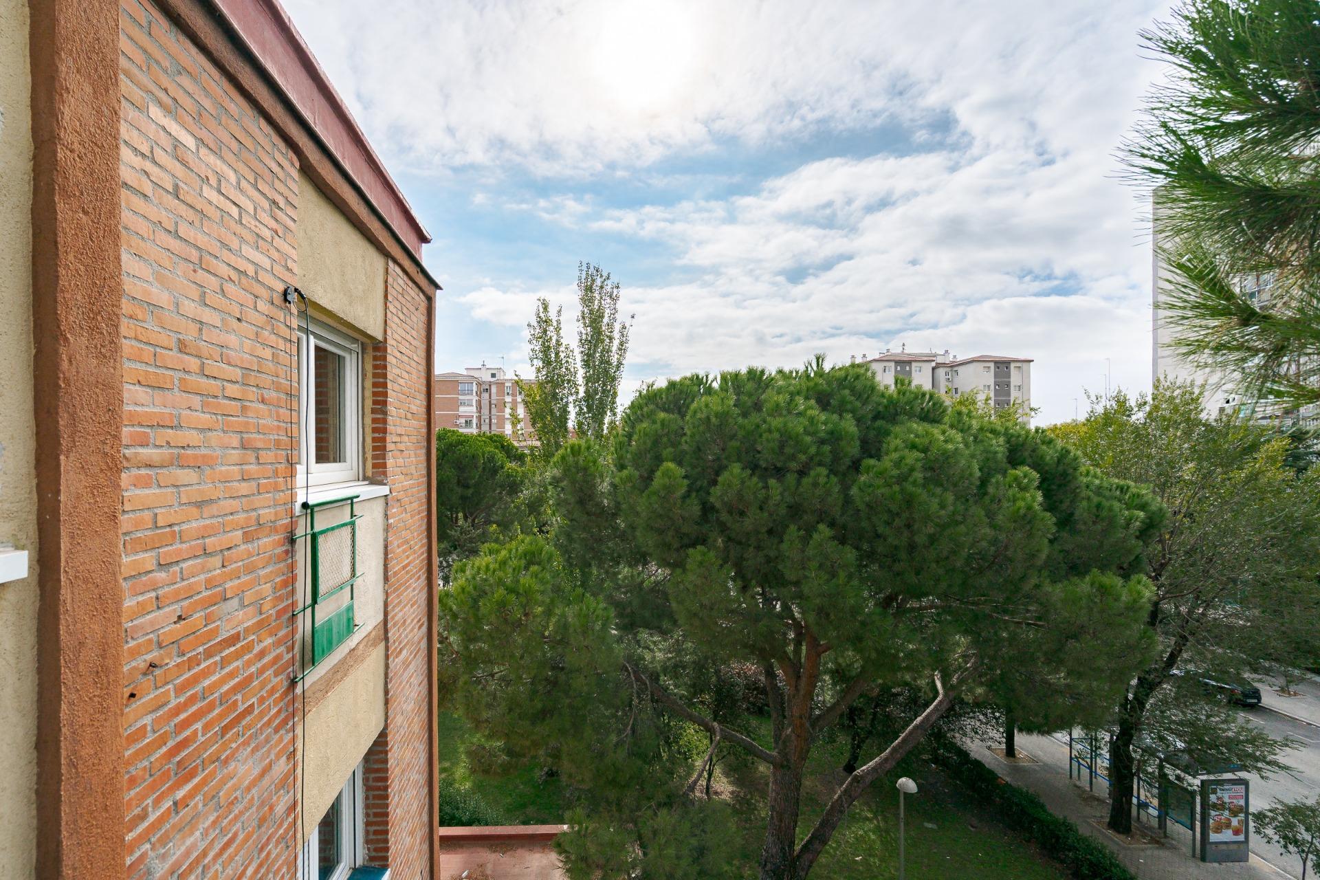 Pisos-Venta-Madrid-1942873-Foto-40