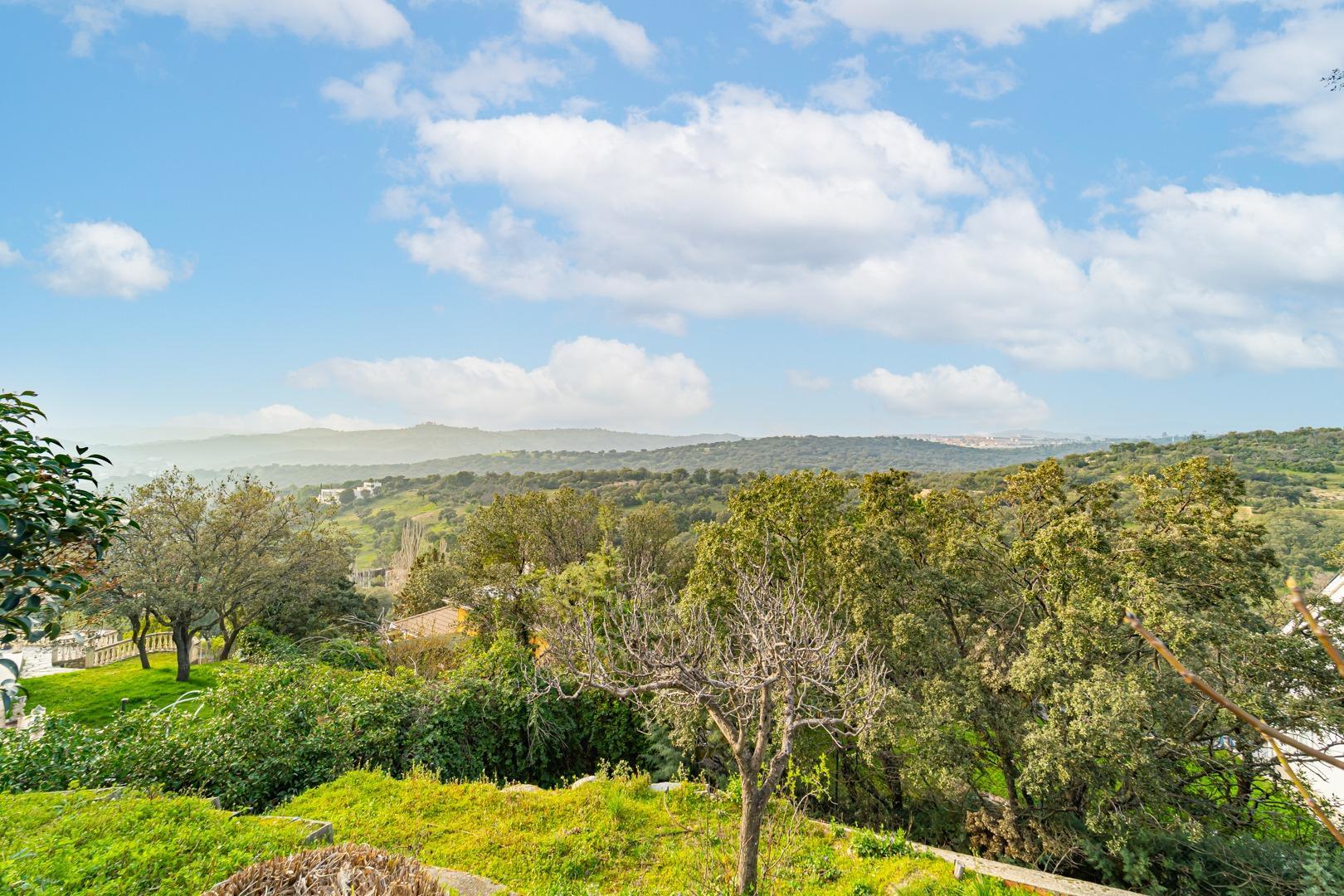 Casas o chalets-Venta-Las Rozas de Madrid-1681654-Foto-6