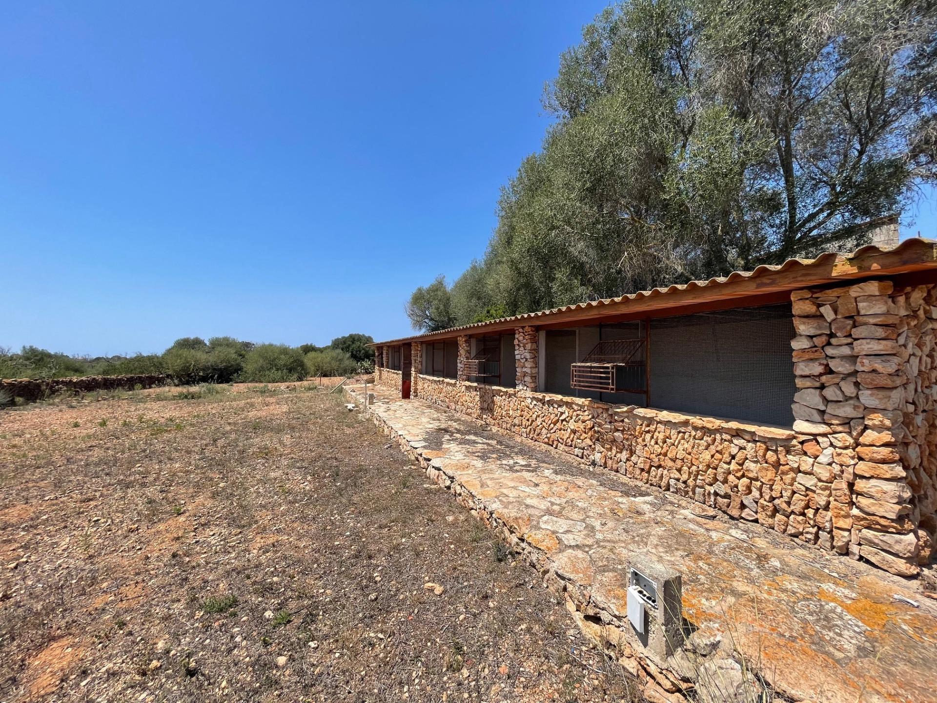 Pisos-Venta-Llucmajor-1685494-Foto-6