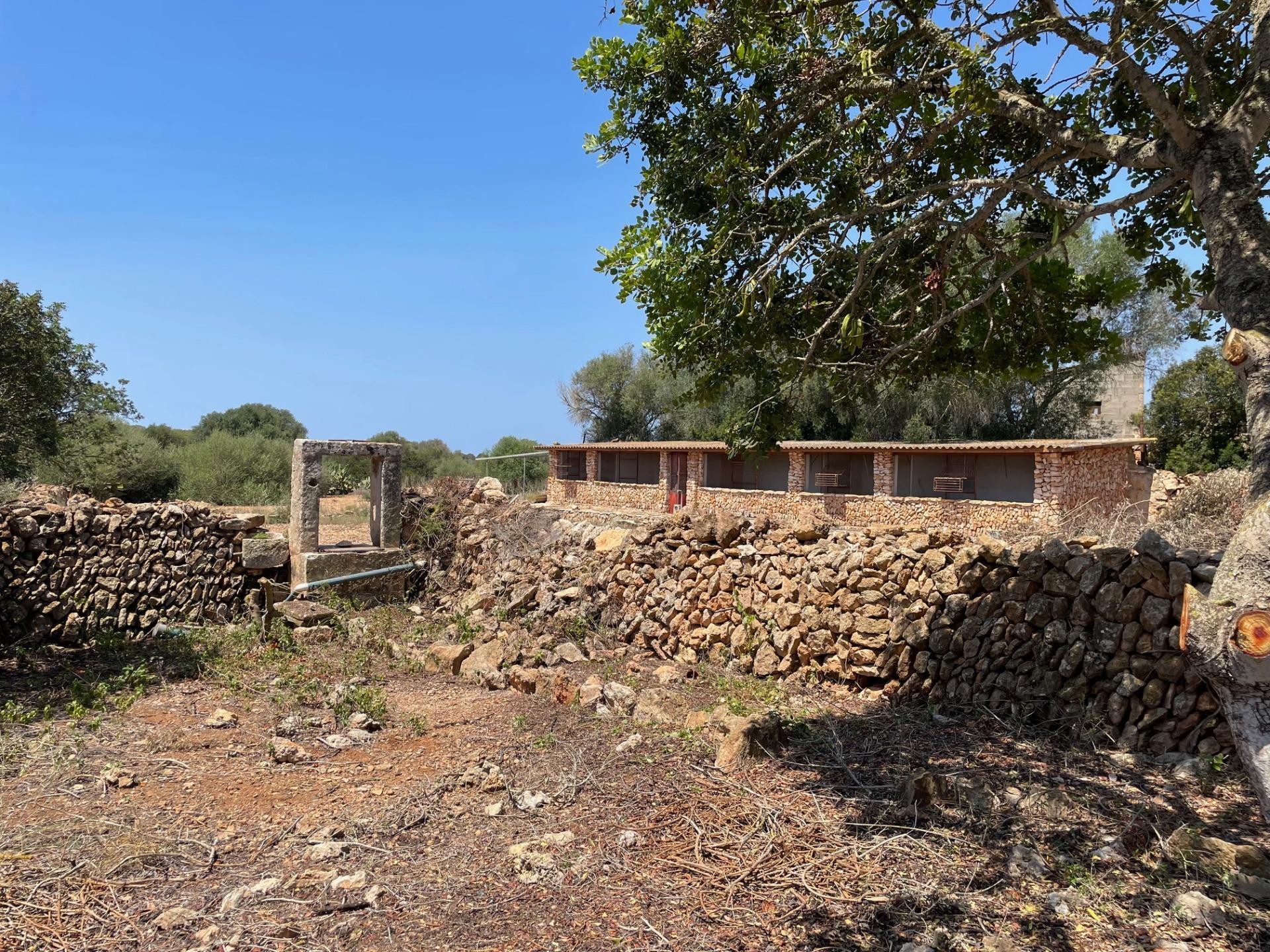 Pisos-Venta-Llucmajor-1685494-Foto-10