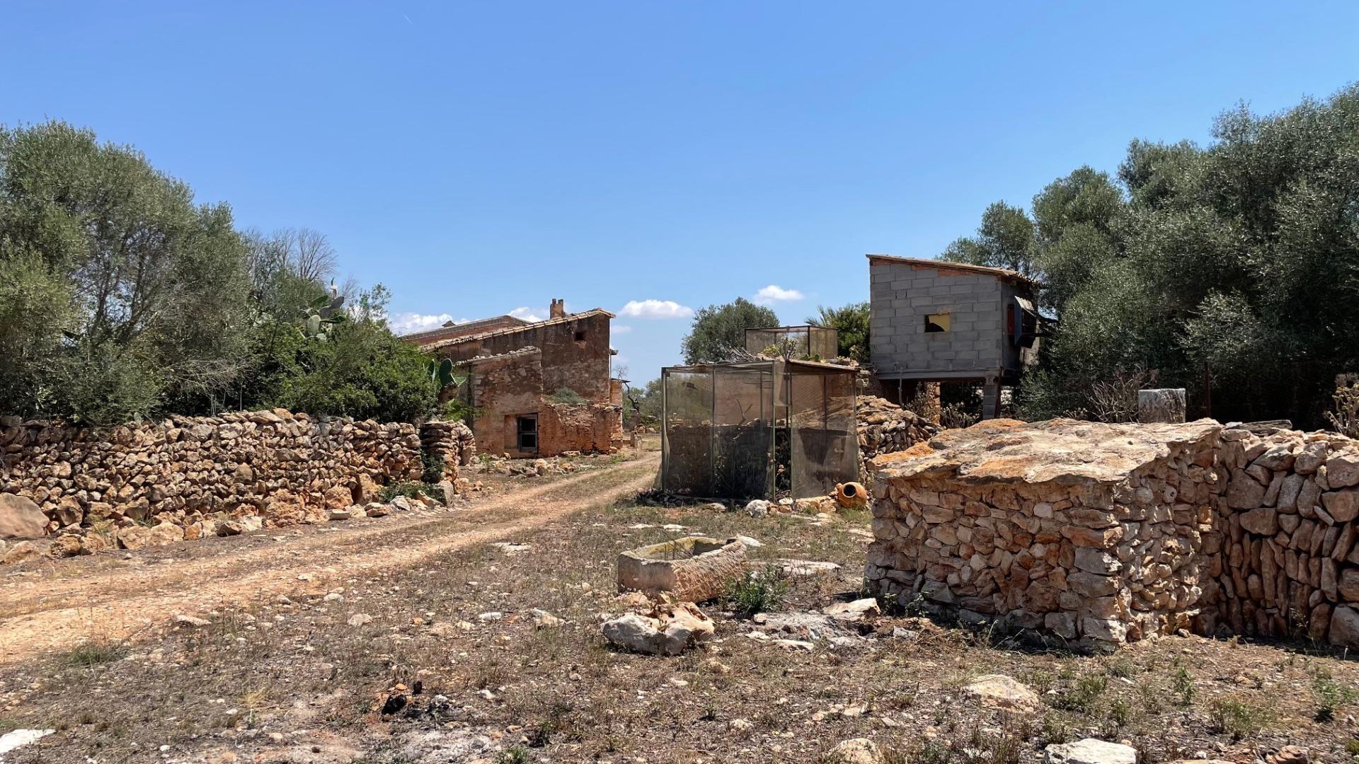 Pisos-Venta-Llucmajor-1685494-Foto-36