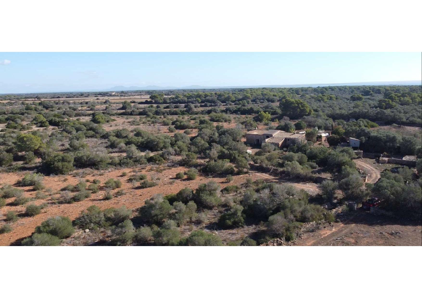 Pisos-Venta-Llucmajor-1685494-Foto-43