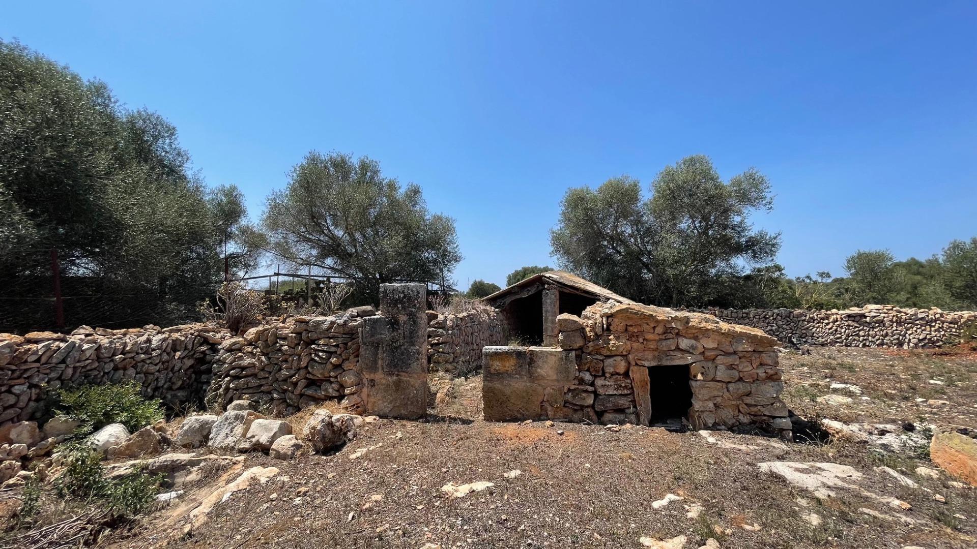 Pisos-Venta-Llucmajor-1685494-Foto-31