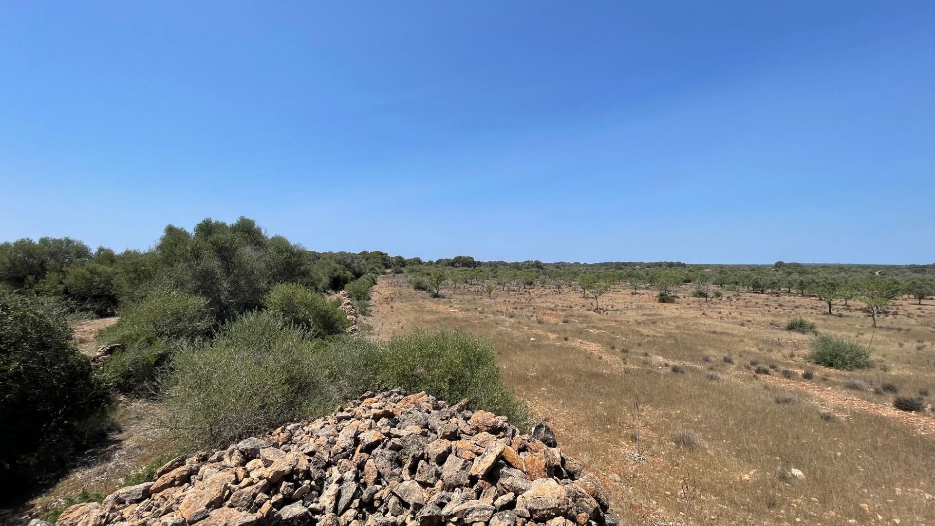 Pisos-Venta-Llucmajor-1685494-Foto-37