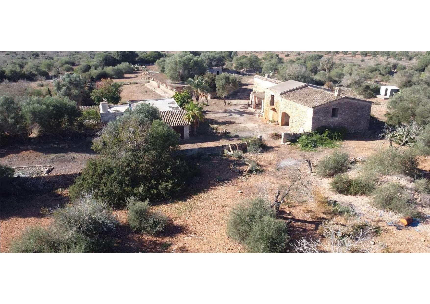 Pisos-Venta-Llucmajor-1685494-Foto-44