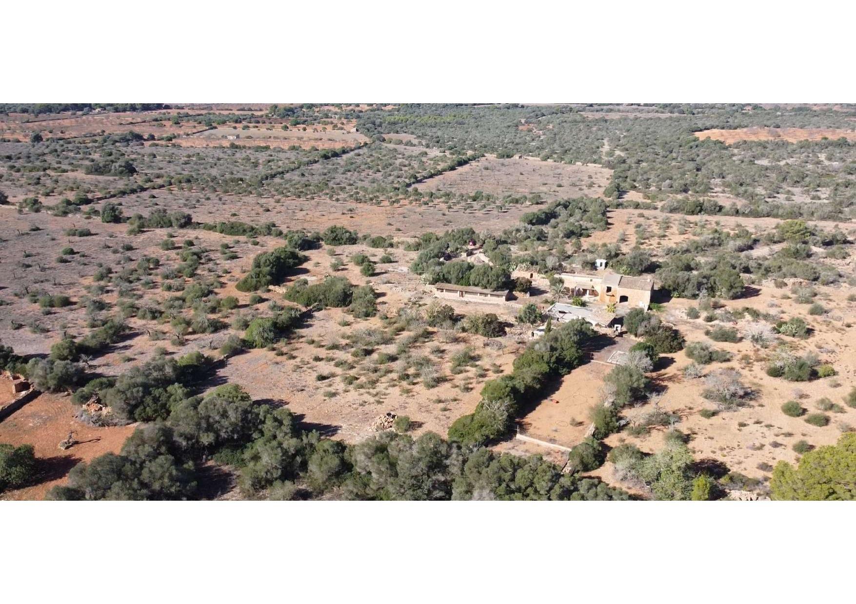 Pisos-Venta-Llucmajor-1685494-Foto-48