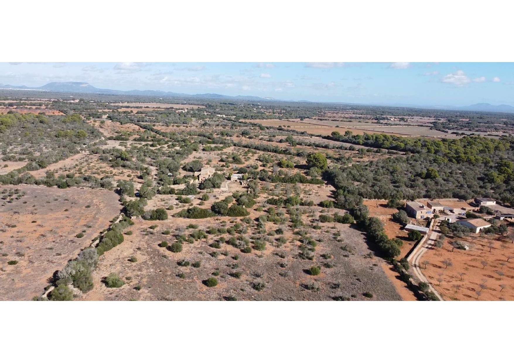 Pisos-Venta-Llucmajor-1685494-Foto-47