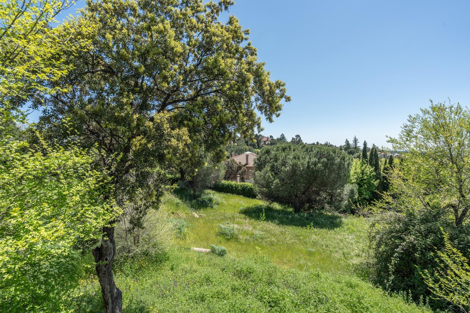 Fincas y solares-Venta-Torrelodones-1721161-Foto-4