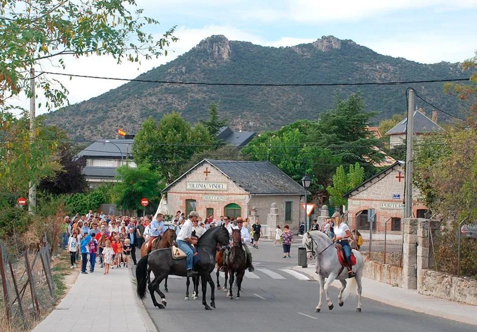 Fincas y solares-Venta-Hoyo de Manzanares-1732385-Foto-21