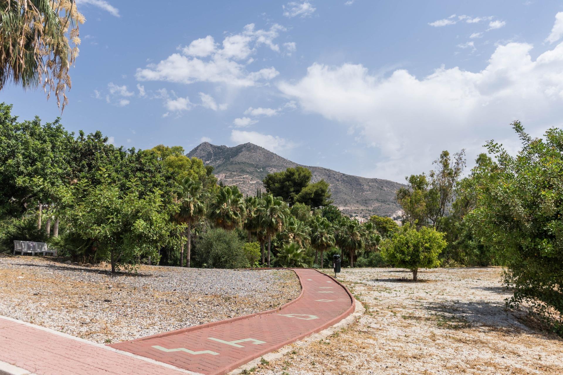 Pisos-Venta-BenalmÃ¡dena-1754085-Foto-24