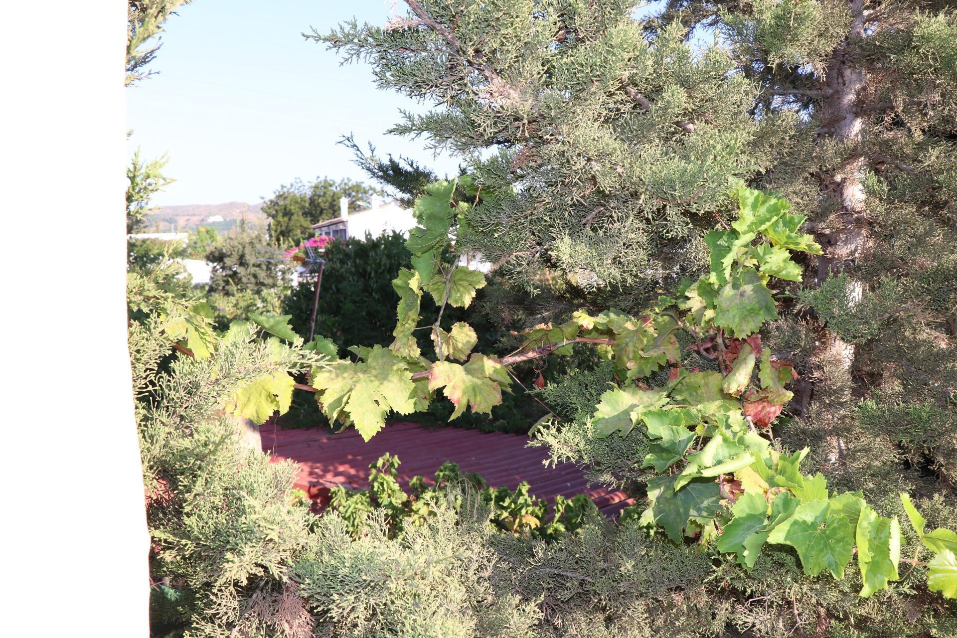 Fincas y solares-Venta-AlhaurÃ­n de la Torre-1832023-Foto-6