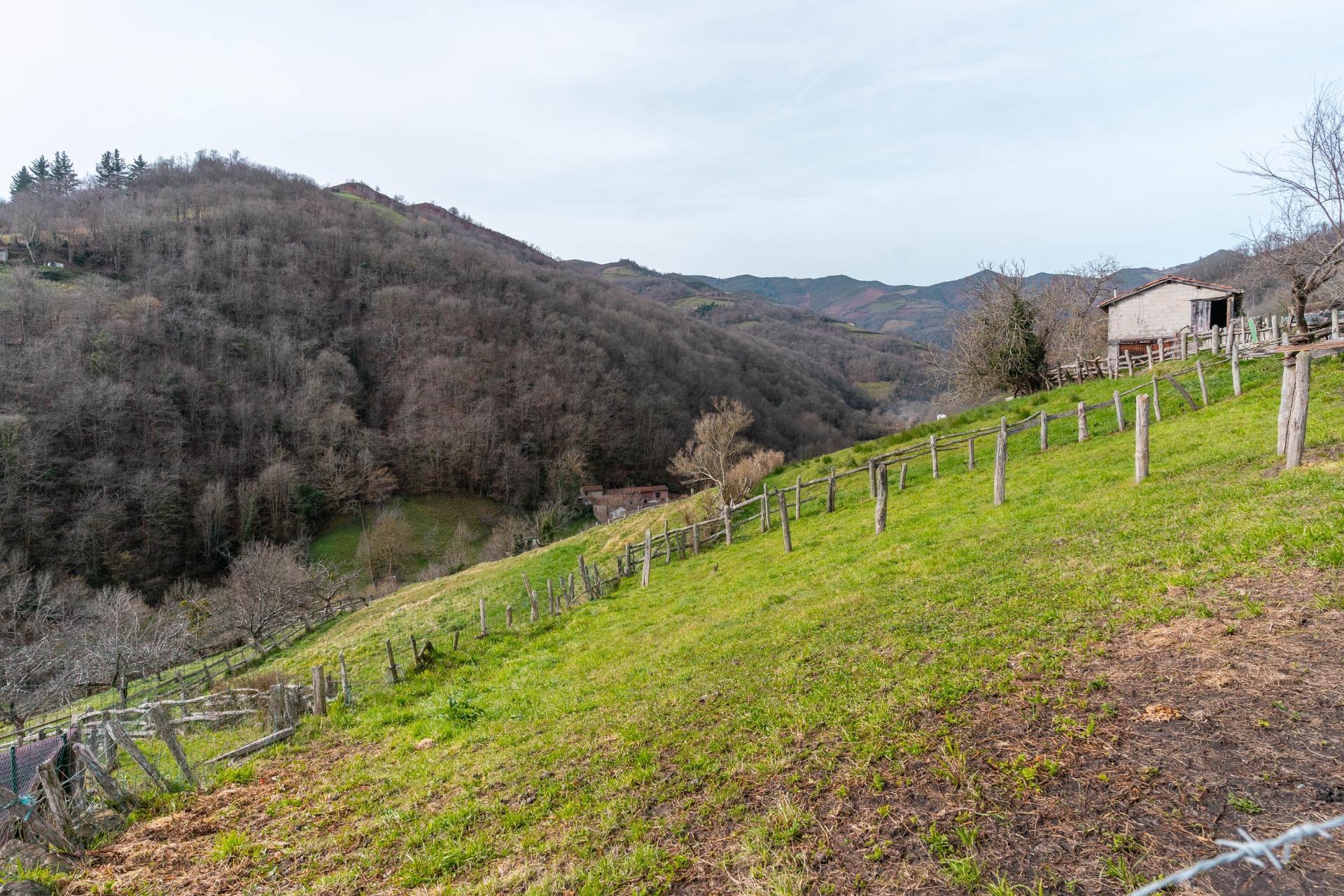 Casas o chalets-Venta-Laviana-1652868-Foto-29