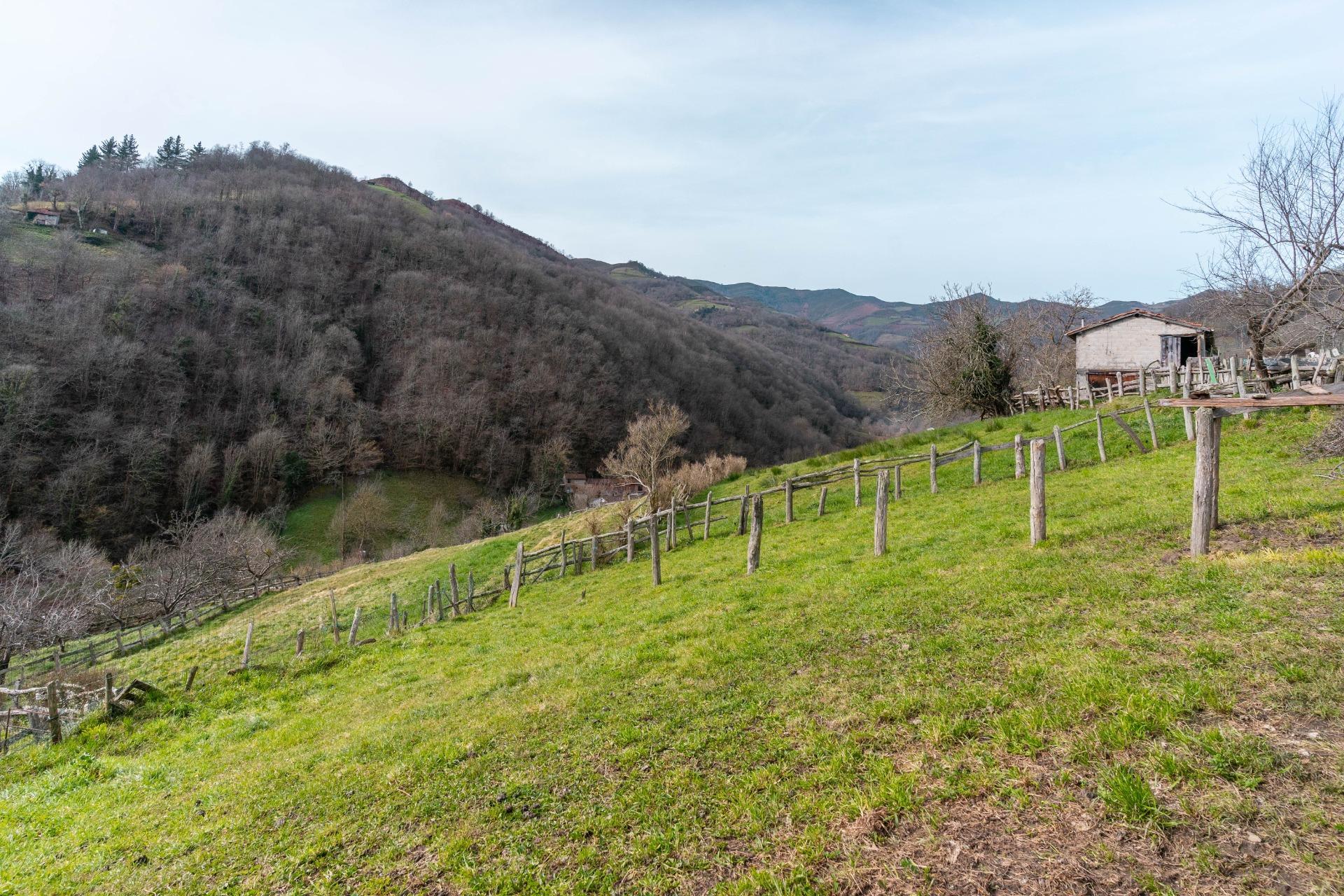 Casas o chalets-Venta-Laviana-1652868-Foto-30